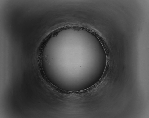 X0000100771496200806191230