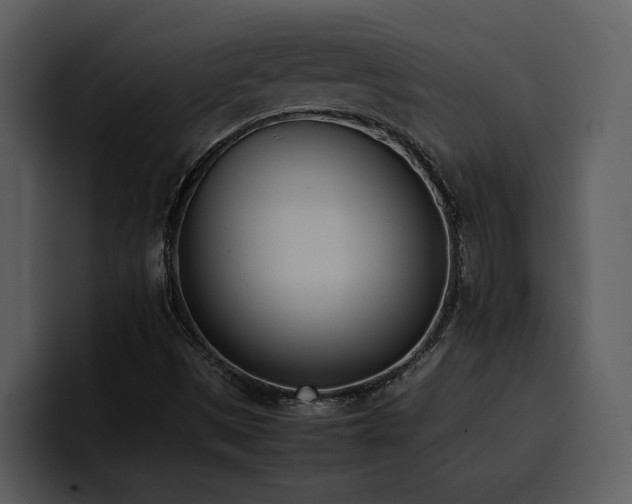 X0000100771497200806191230