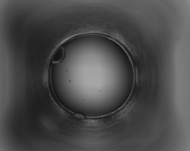 X0000100771500200806191230