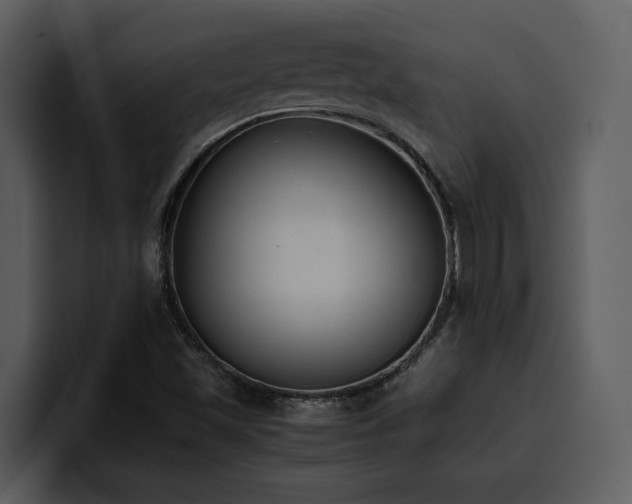 X0000100771501200806191230