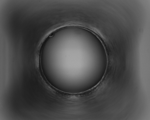 X0000100771504200806191230