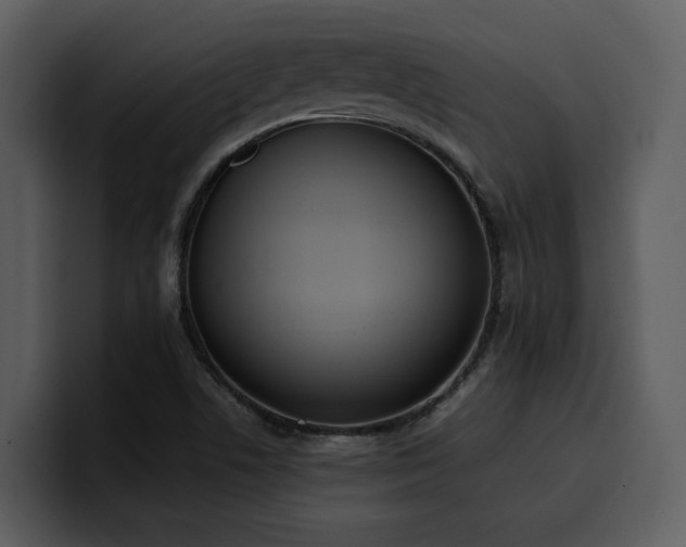 X0000100771506200806191230