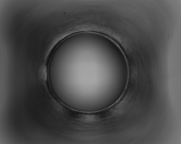 X0000100771509200806191230