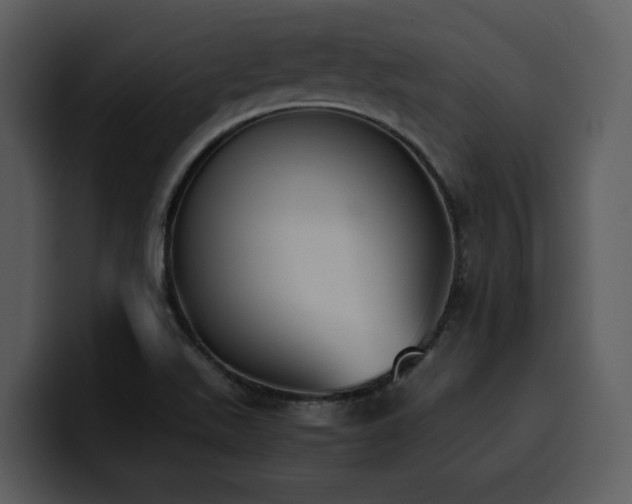 X0000100771511200806191230