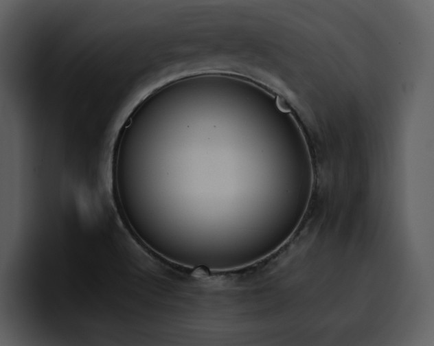 X0000100771512200806191230