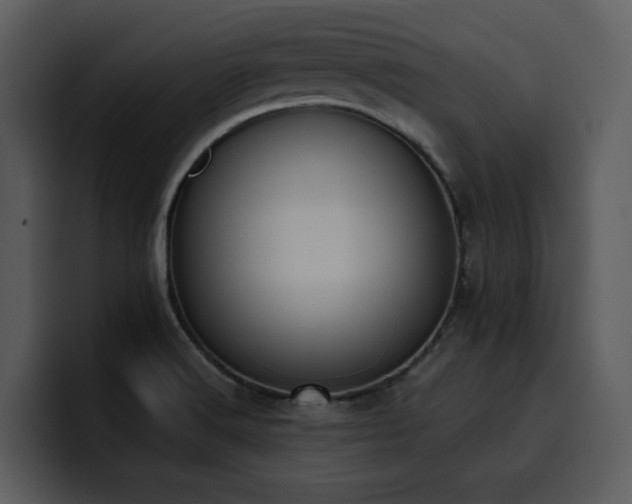 X0000100771516200806191230