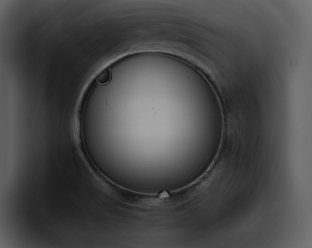 X0000100771517200806191230