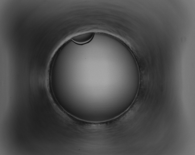 X0000100771518200806191231