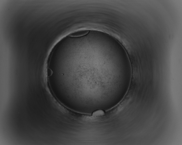 X0000100771522200806191231
