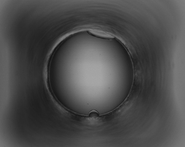 X0000100771523200806191231