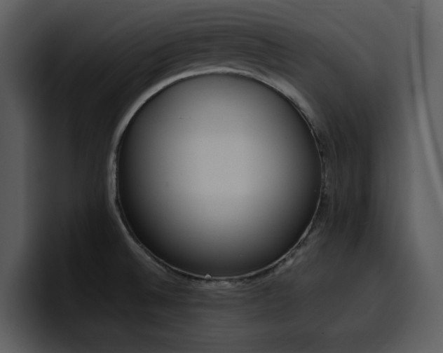 X0000100771524200806191231