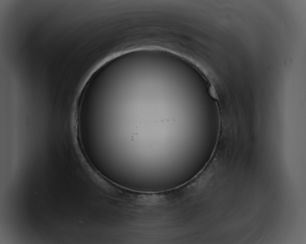 X0000100771526200806191231