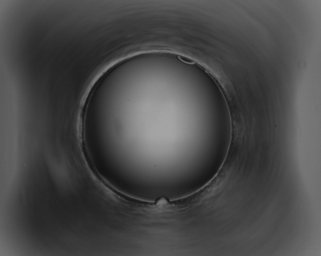 X0000100771527200806191231
