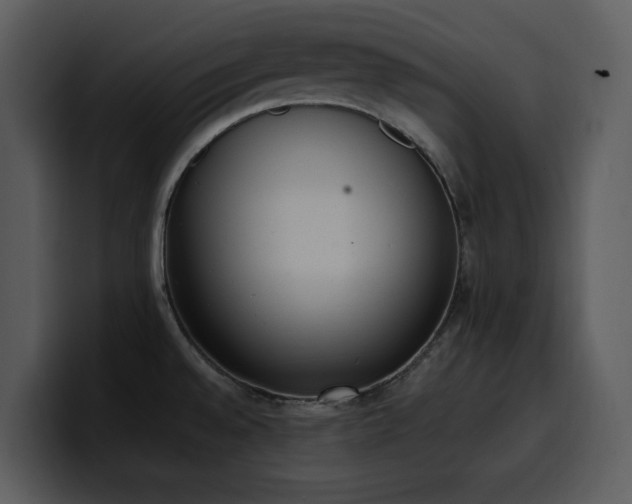 X0000100771528200806191231