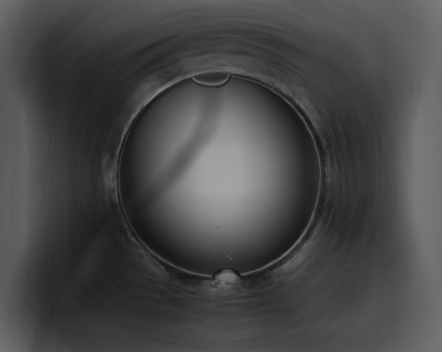 X0000100771529200806191231