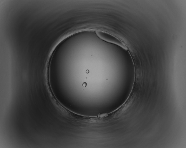 X0000100771530200806191231