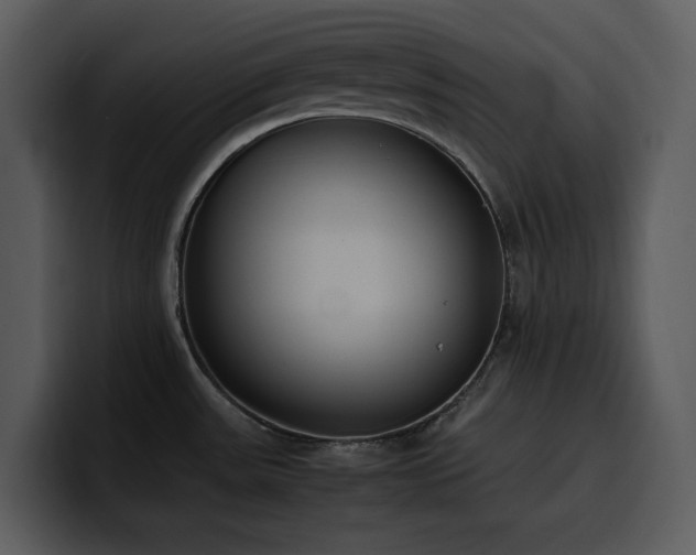 X0000100771531200806191231