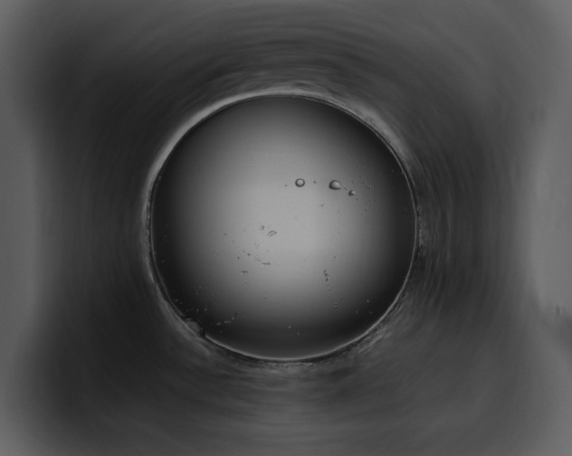 X0000100771532200806191231