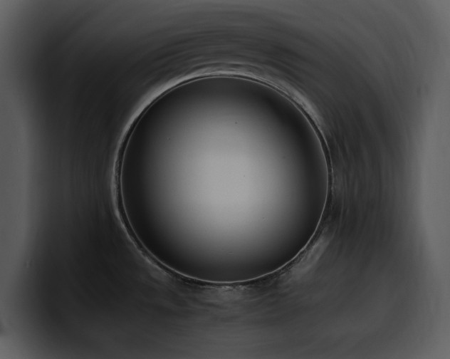 X0000100771533200806191231
