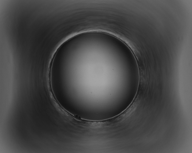 X0000100771534200806191231