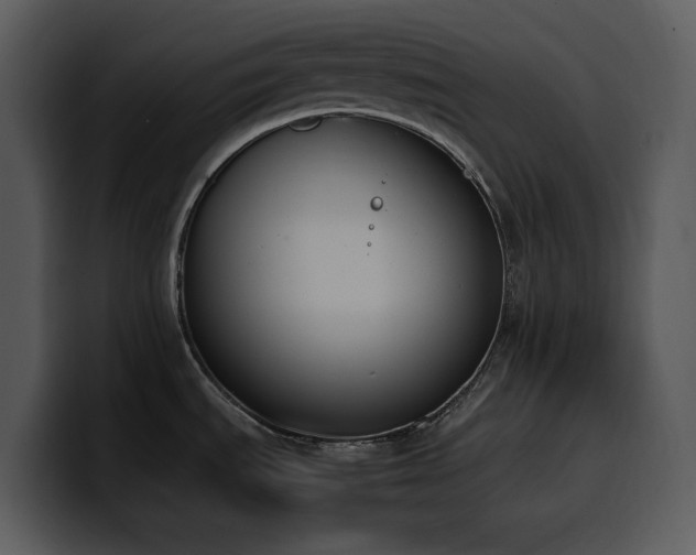 X0000100771535200806191231
