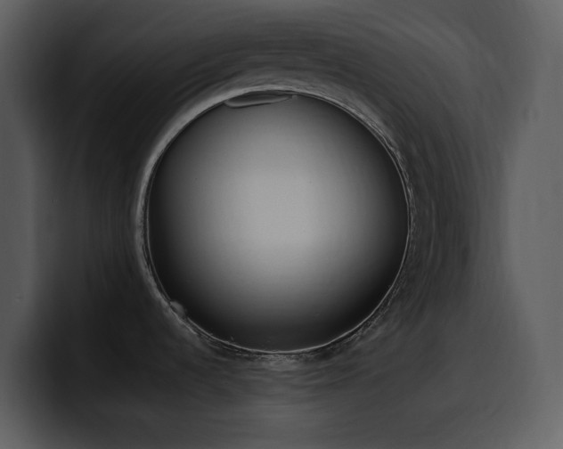 X0000100771536200806191231