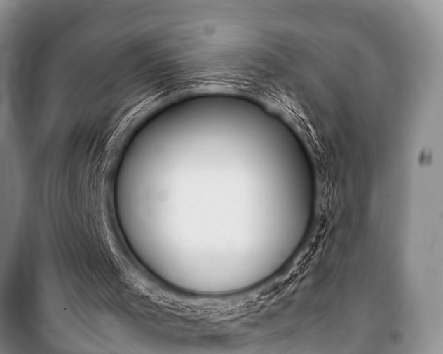 X0000100770001200806261555