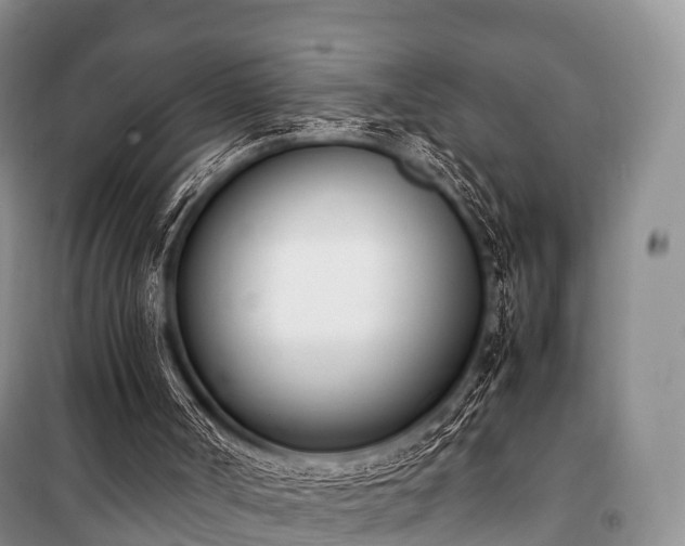 X0000100770002200806261554