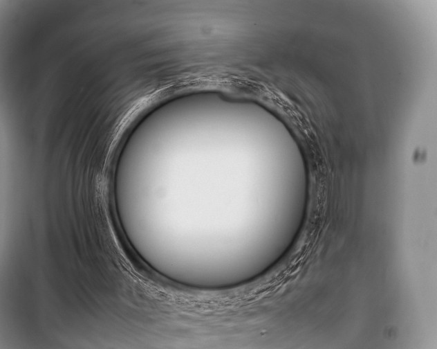 X0000100770003200806261554