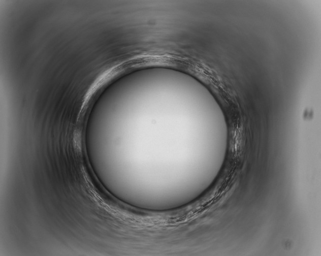 X0000100770004200806261554