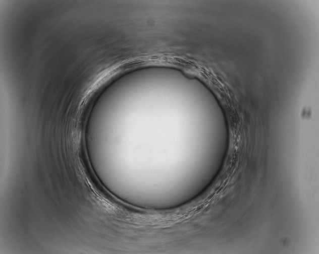 X0000100770005200806261554