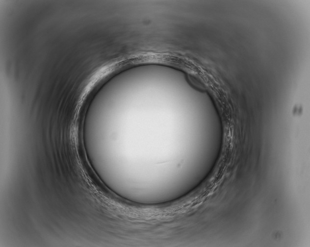 X0000100770006200806261554