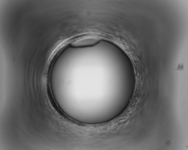 X0000100770007200806261554