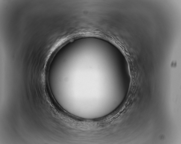 X0000100770008200806261554