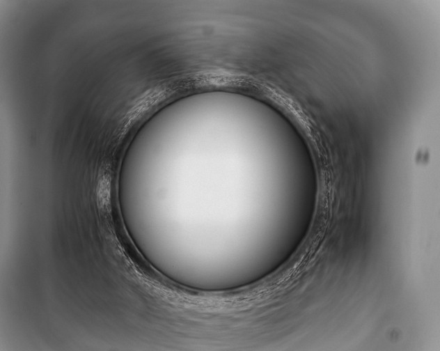 X0000100770010200806261554