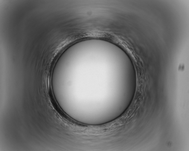 X0000100770011200806261554