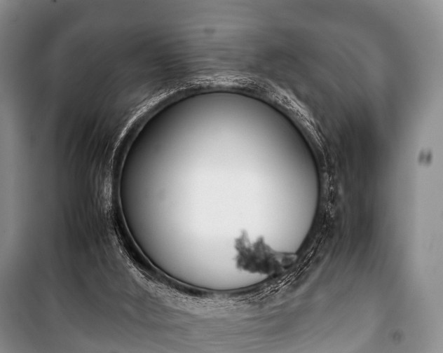 X0000100770012200806261554