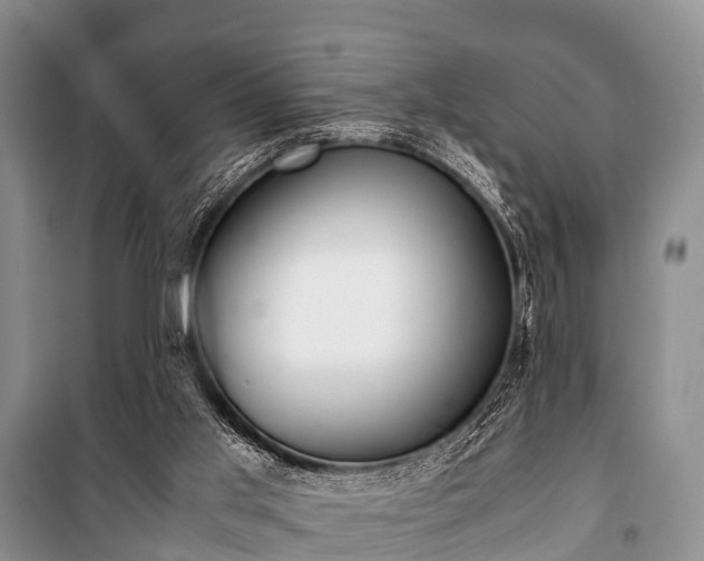 X0000100770013200806261554
