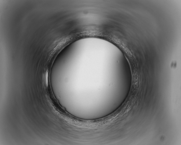 X0000100770014200806261554