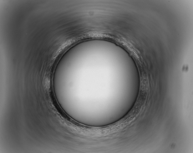 X0000100770015200806261554