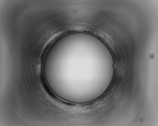 X0000100770016200806261554