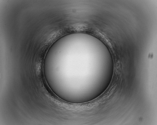 X0000100770018200806261554