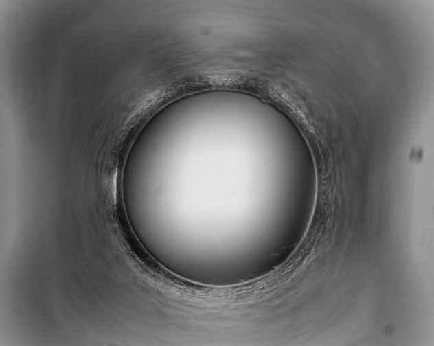 X0000100770019200806261554