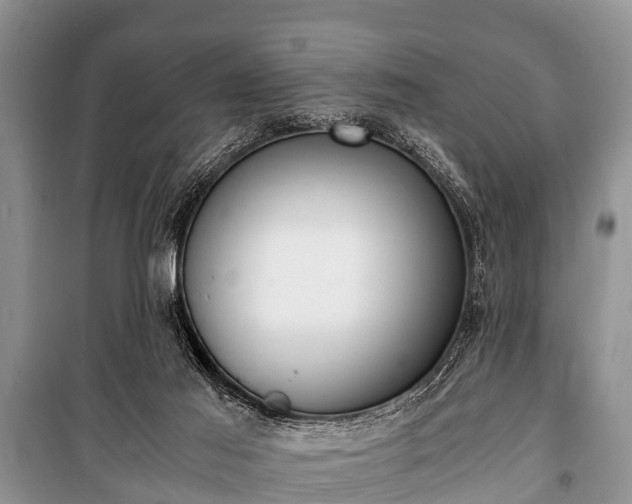 X0000100770021200806261554