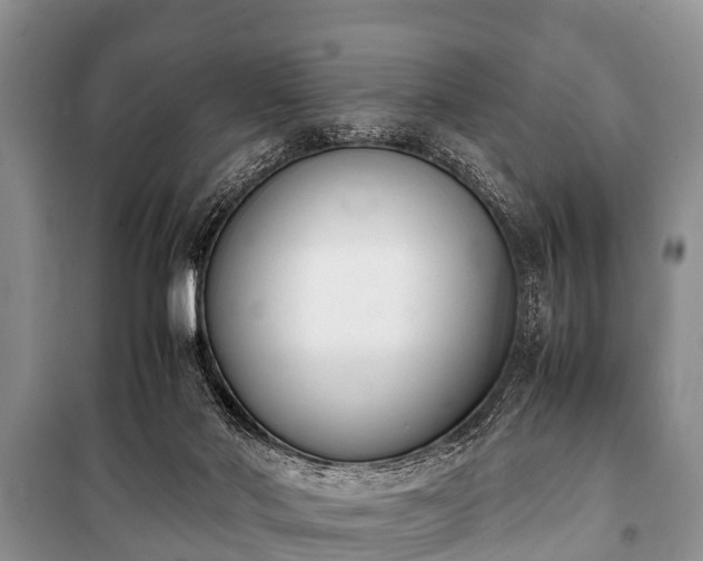 X0000100770022200806261554