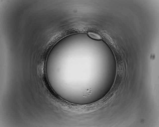 X0000100770023200806261554
