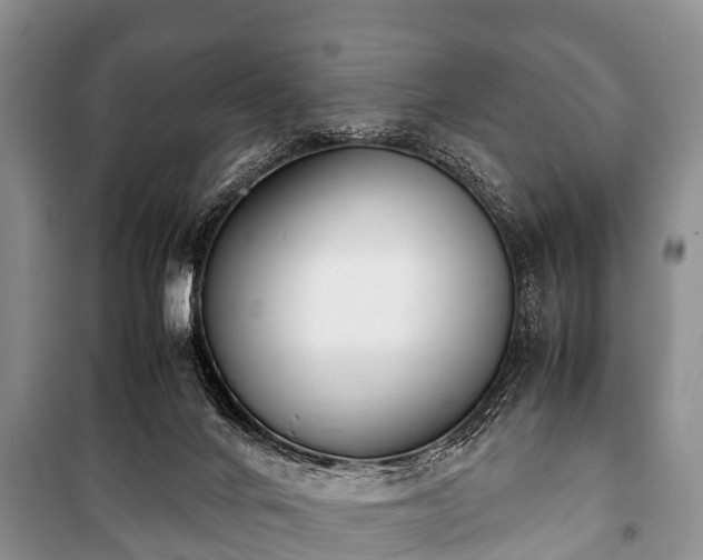 X0000100770024200806261554
