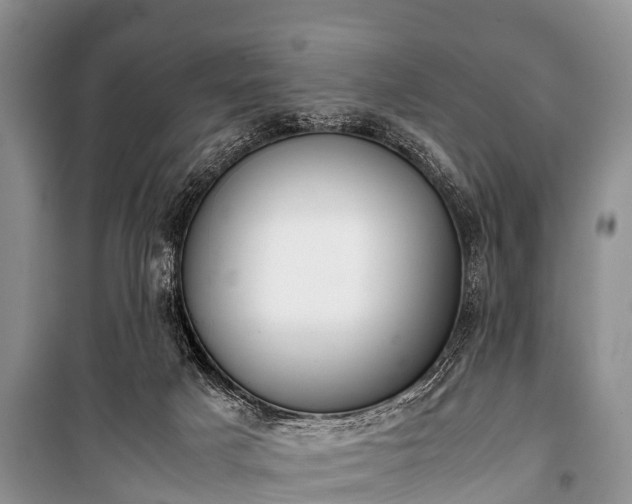 X0000100770025200806261554
