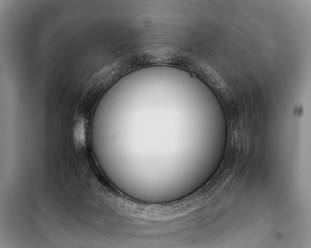X0000100770026200806261554