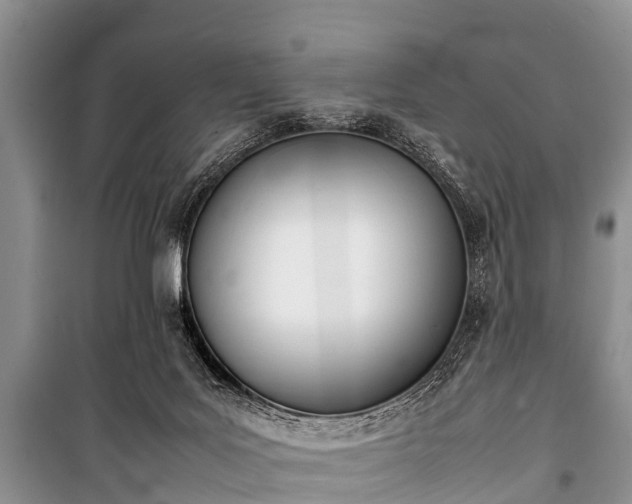 X0000100770027200806261554